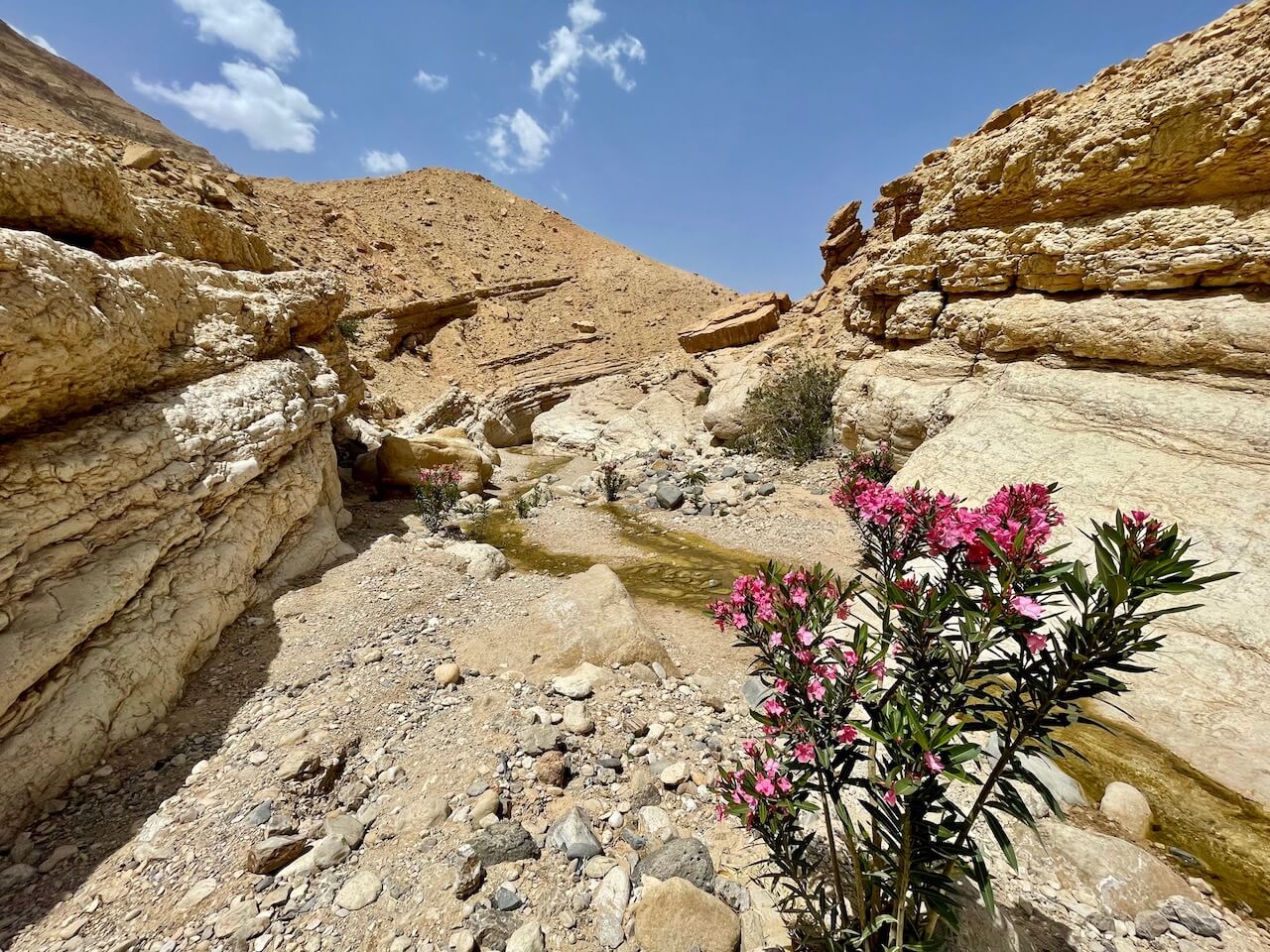Jordan, Wadi Ghuweir - Hiking the Wadi Ghuweir Trail