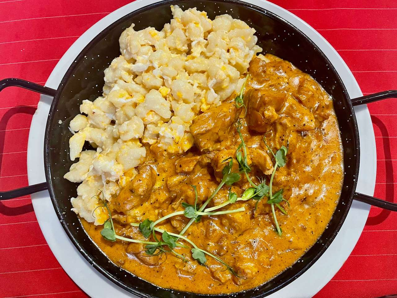 Hungary, Budapest - Chicken Paprikash with noodles