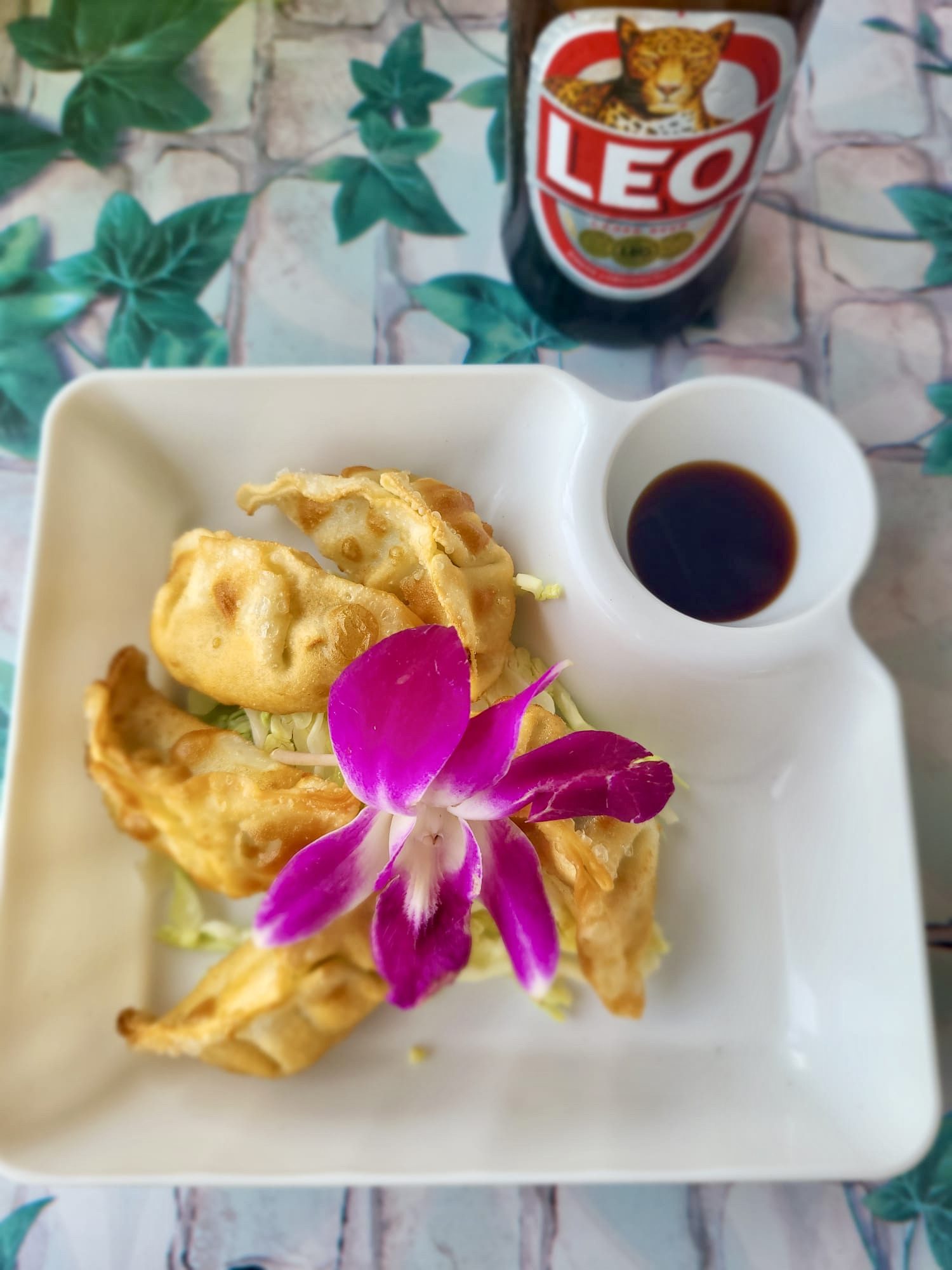 Thailand, Krabi - Chicken Gyoza