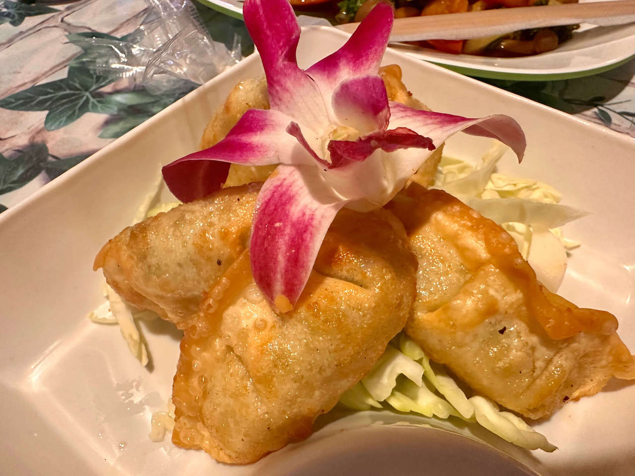 Thailand, Krabi - Gyoza