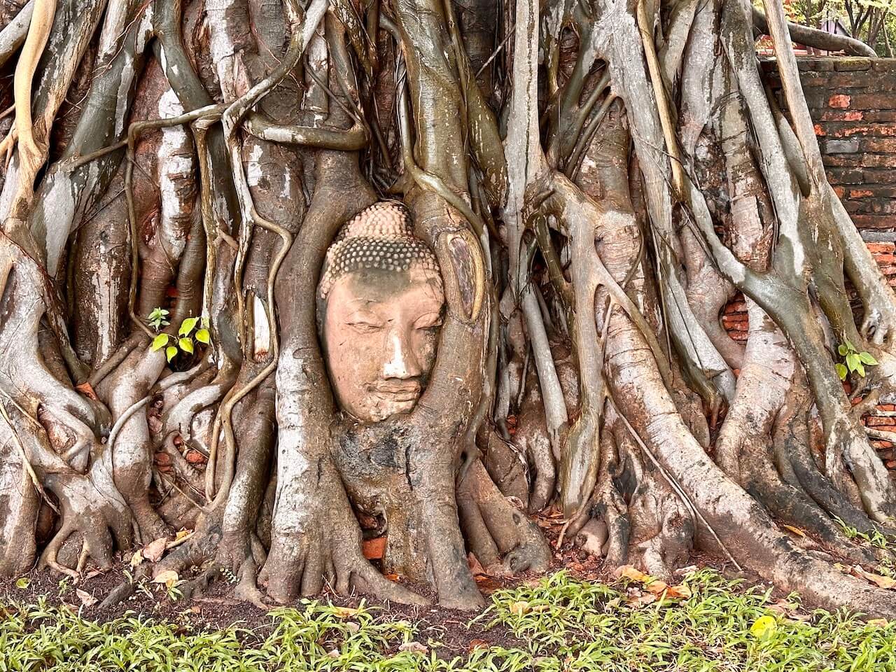 Thailand, Ayutthaya - Wat Mahathat