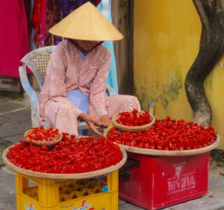 Vietnam, Hội An - Street vendor