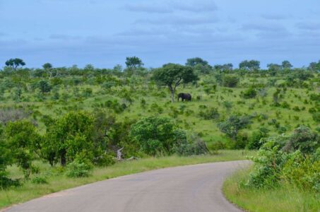 Kruger National Park
