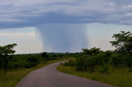 Rain in Kruger National Park