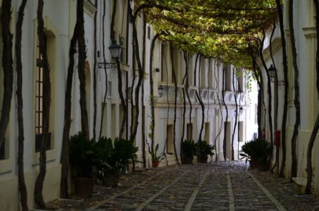 Bodega Tio Pepe, Jerez de la Frontera