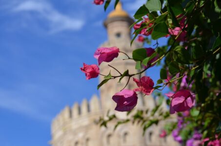 Tower of Gold Torre del Oro Seville