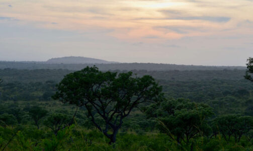 Kruger National Park