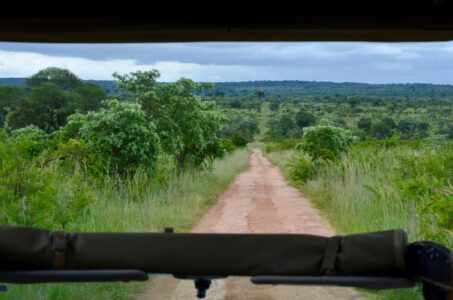 Kruger National Park
