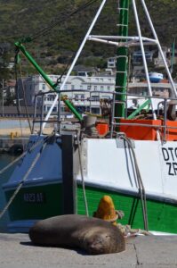 Kalk Bay, Cape Town