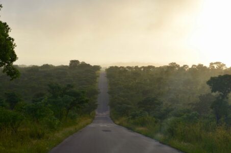 Kruger National Park