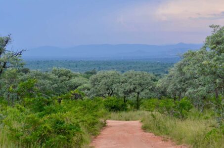 Kruger National Park