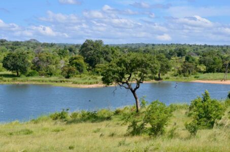 Kruger National Park