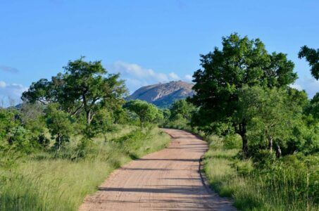 Kruger National Park