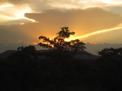 Kruger National Park