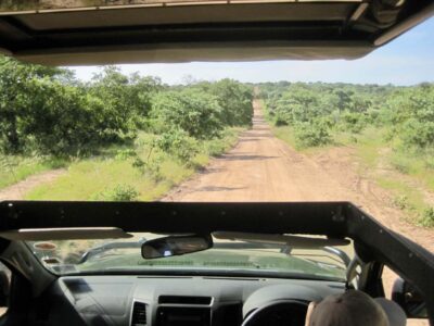 Kruger National Park