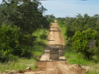 Kruger National Park