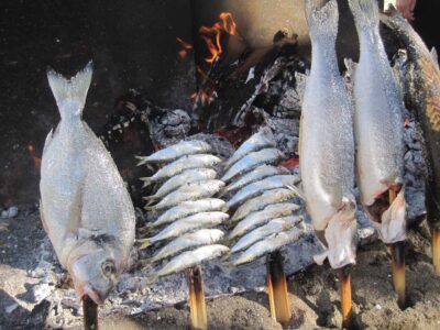 Sardines