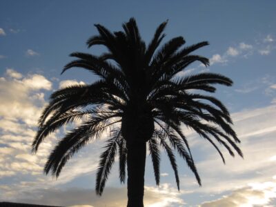 Malaga