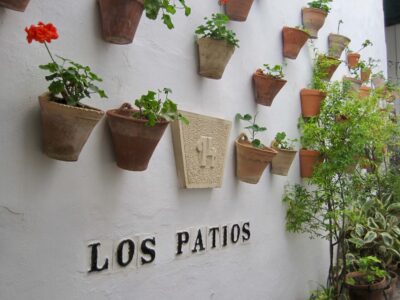 Calleja de las Flores, Córdoba