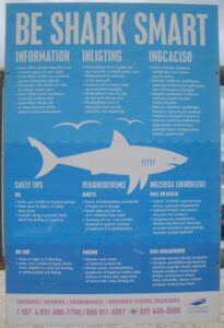 Shark warning signs on the beach