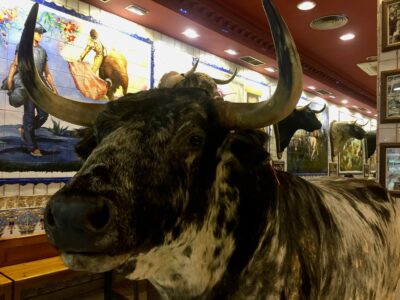 Bull bar, Madrid