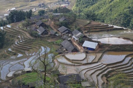 Vietnam, Sa Pa - Rice terraces
