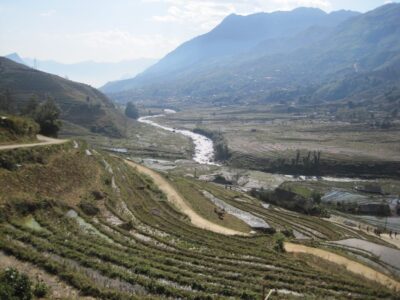 Vietnam, Sa Pa - Rice terraces