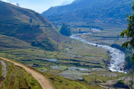 Vietnam, Sa Pa - Rice terraces