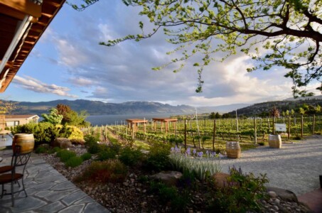 Kelowna wineries, BC