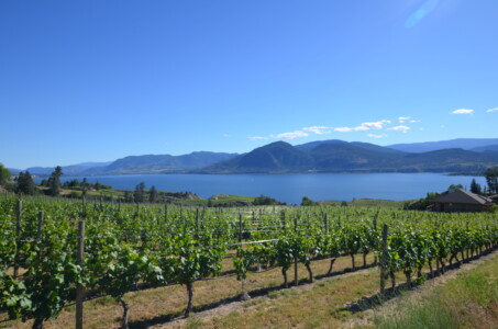 Kelowna wineries, BC