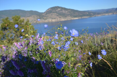 Okanagan Lake, Penticton