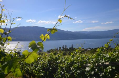 Kelowna wineries, BC
