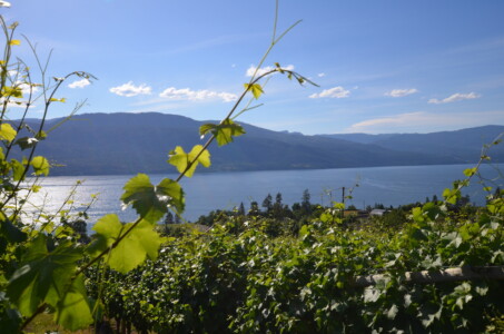 Kelowna wineries, BC