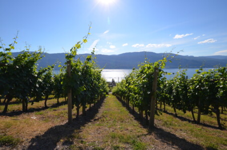 Kelowna wineries, BC