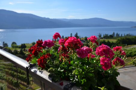 Kelowna wineries, BC