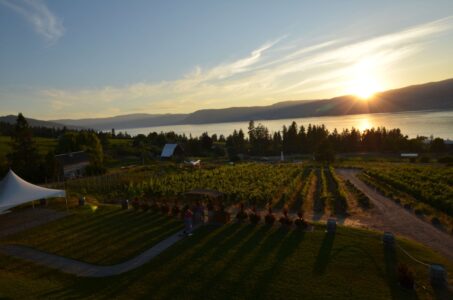 Kelowna wineries, BC