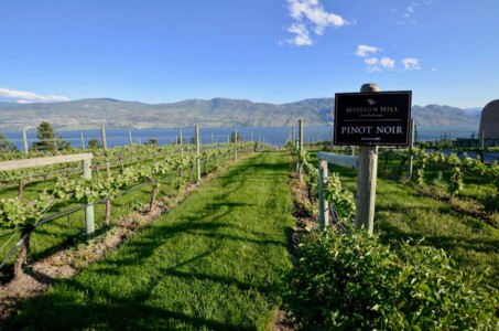 Kelowna wineries, BC