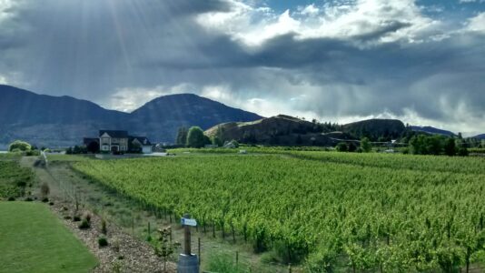 Naramata Bench, Penticton, BC