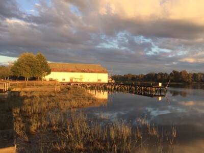Steveston, BC