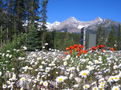 Rocky Mountains, BC