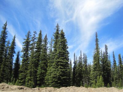 Rocky Mountains, BC