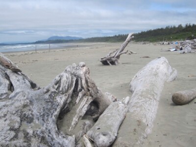 Tofino beach