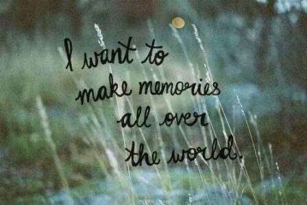 travel quote