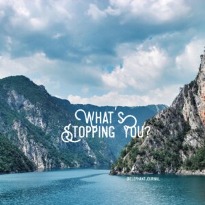 travel quote