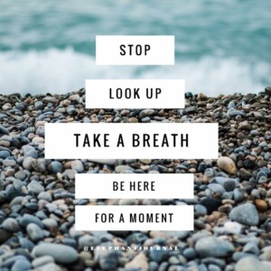 travel quote