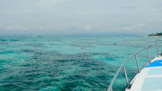 Big Fish Diving, Nusa Lembongan