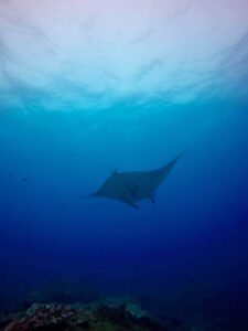 Big Fish Diving, Nusa Lembongan
