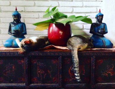 Sanur, Bali