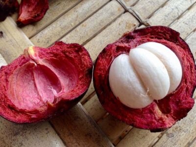 Purple mangosteen