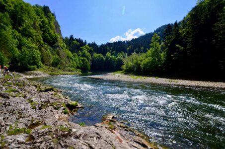 Dunajec River
